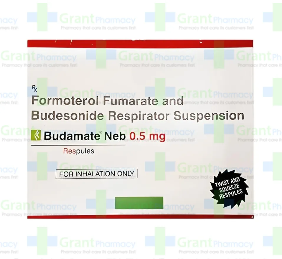 Budesonide Generic with Budesonide Price